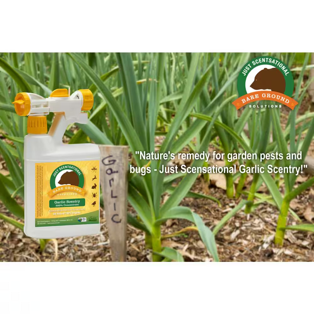 32 Oz. Garlic Concentrate Pest Repellant in Hose End Sprayer